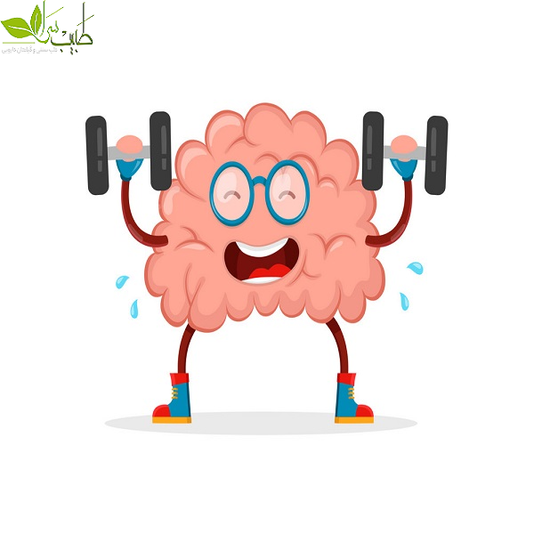 تقویت مغز تقویت مغز